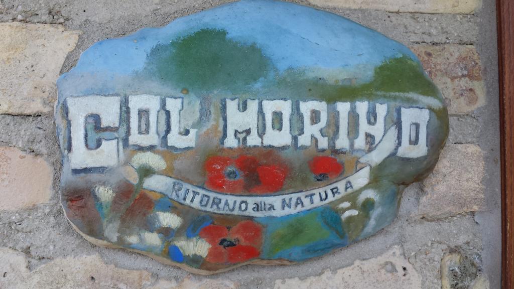皮内托Agriturismo Col Morino住宿加早餐旅馆 外观 照片