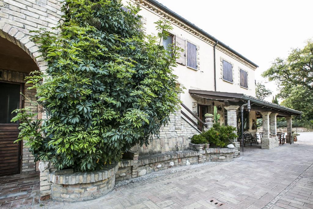 皮内托Agriturismo Col Morino住宿加早餐旅馆 外观 照片