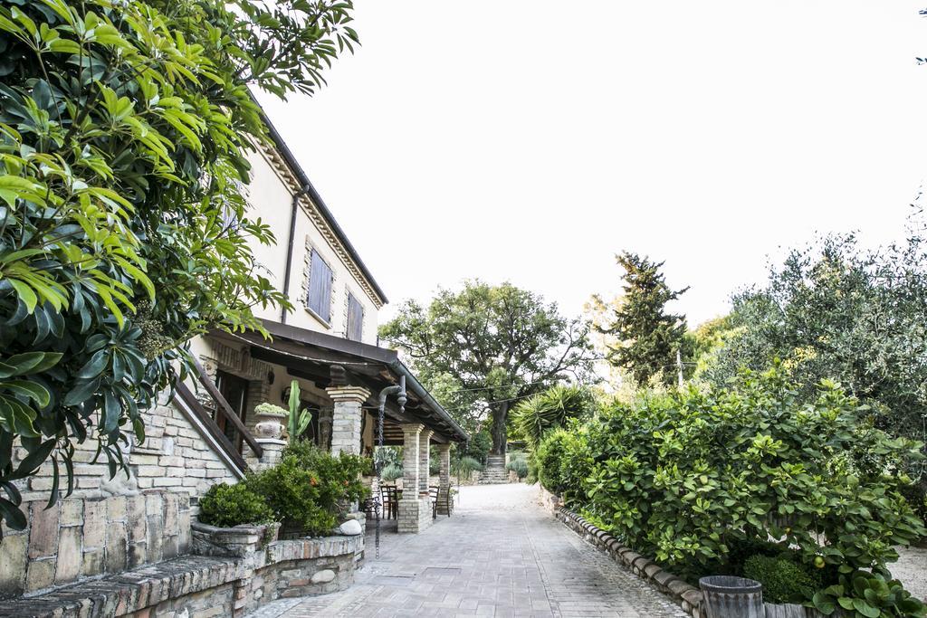 皮内托Agriturismo Col Morino住宿加早餐旅馆 外观 照片